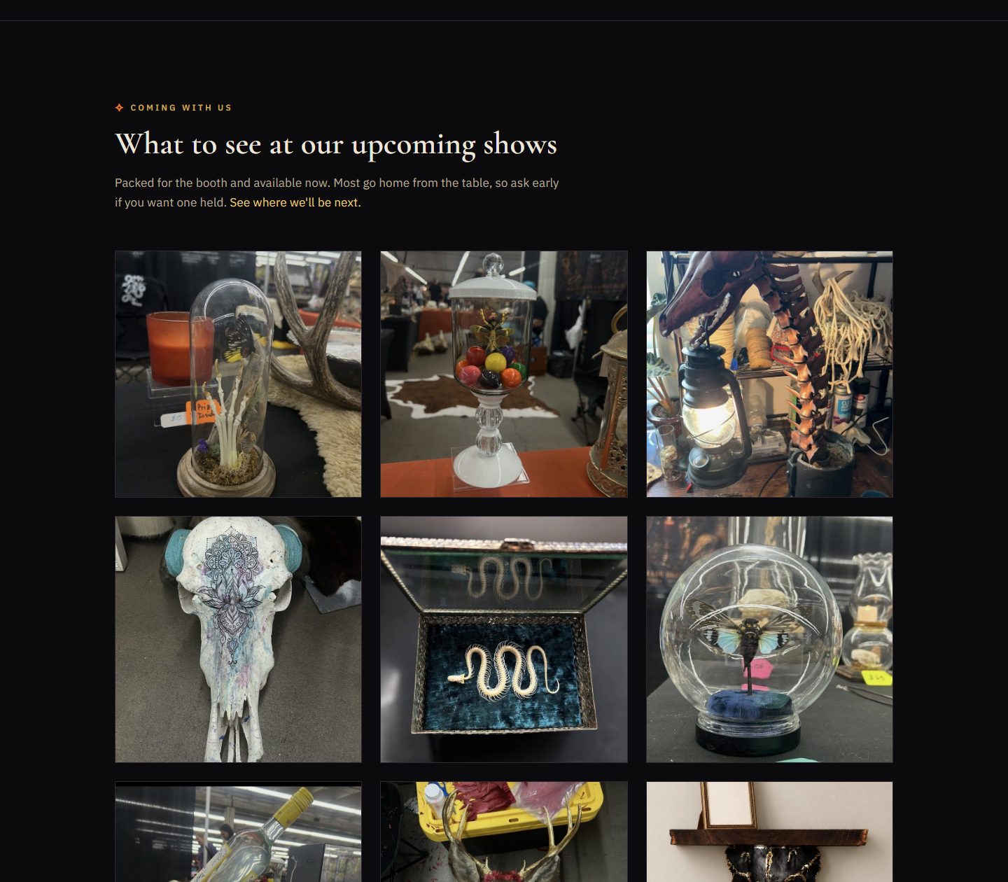 The gallery page's top half, What to see at our upcoming shows — a grid of square photo tiles with no captions: a butterfly cloche, a lit apothecary jar, a skeleton lamp, a painted skull, a snake skeleton in a brass box, and more, in full rows of three